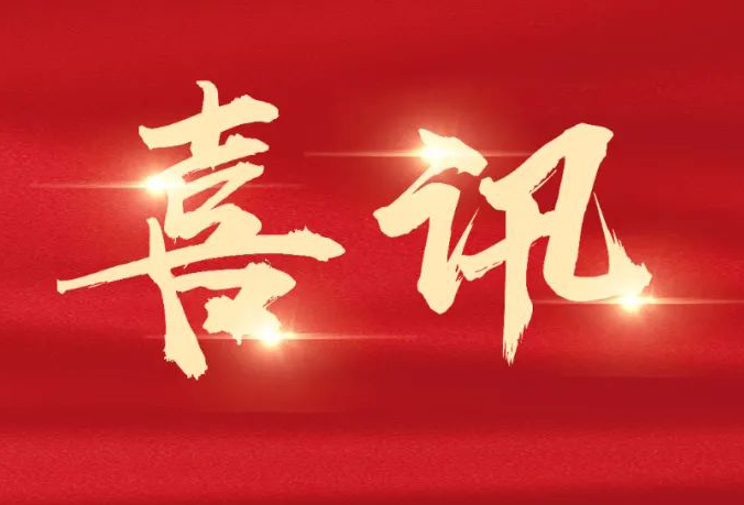 集團(tuán)多個(gè)項(xiàng)目榮獲“市建筑工程安全文明標(biāo)準(zhǔn)化示范工地”稱號(hào)