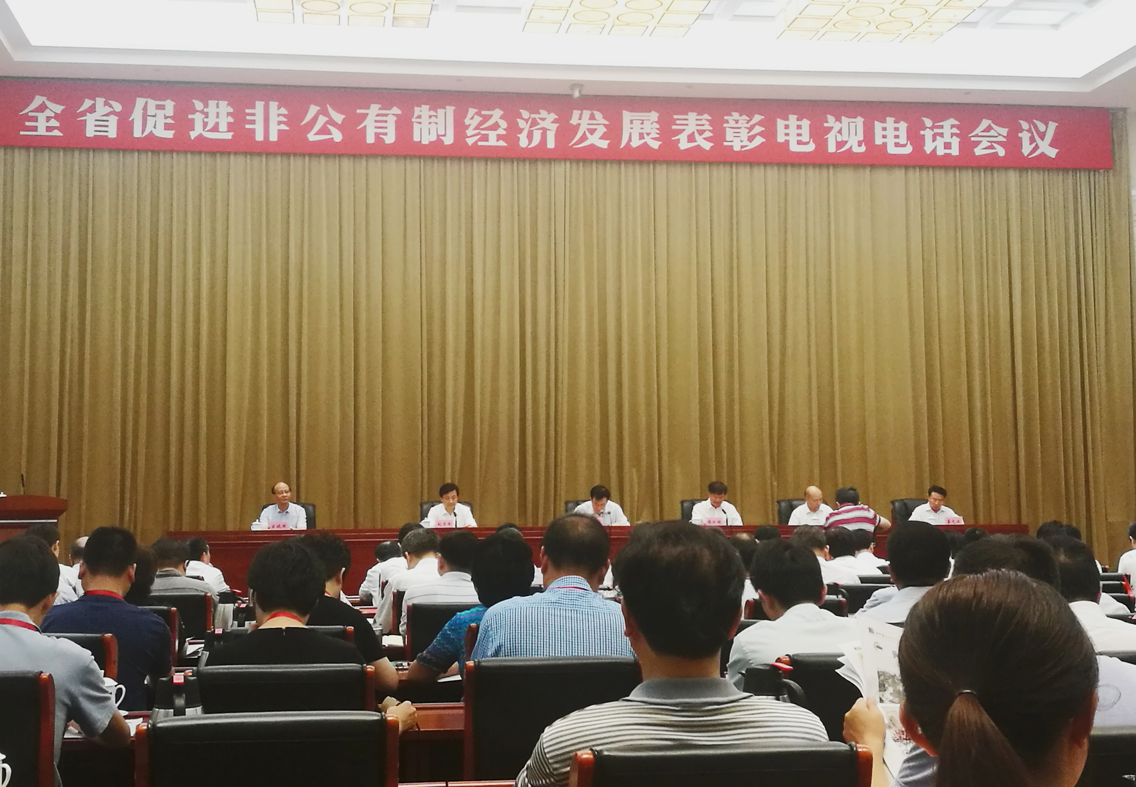 全省促進非公有制經(jīng)濟發(fā)展表彰電視電話會議在昌召開